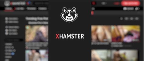 x hemster|Best Porn Channels: Producers & Creators